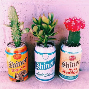 Meet your Posher, Nyssah